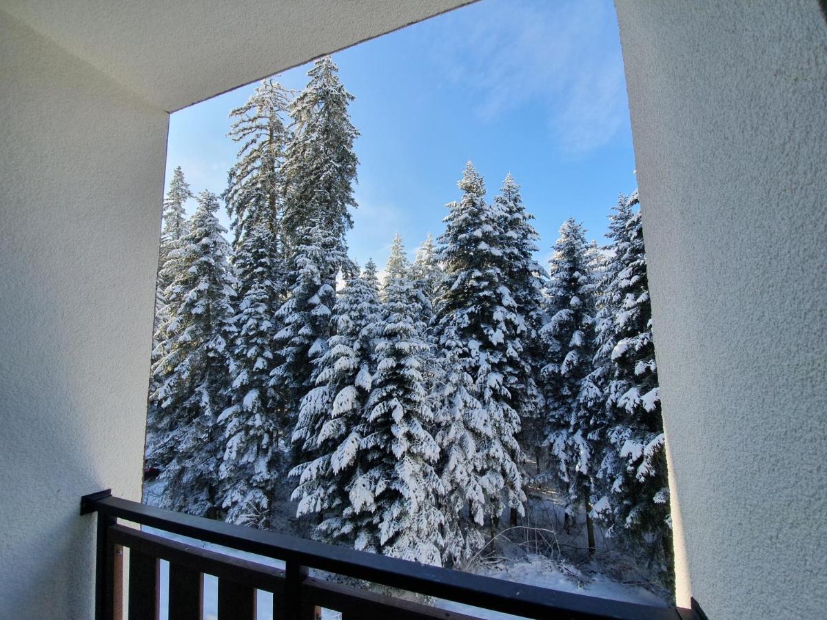 Pinewood Ang Luxurious Apartment A43, Borovets Gardens Exterior foto